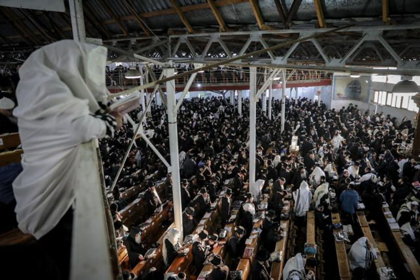 קיבוץ החסידים באומן תשפ"ג (חיים גולדברג)