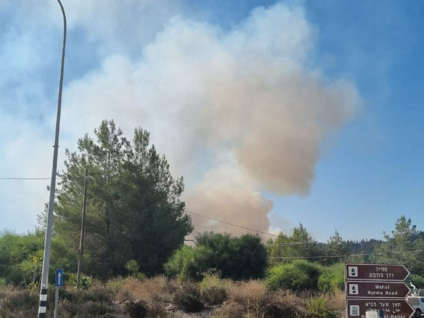 שריפת קוצים בין לטרון לשער הגיא, צוותי כיבוי במקום