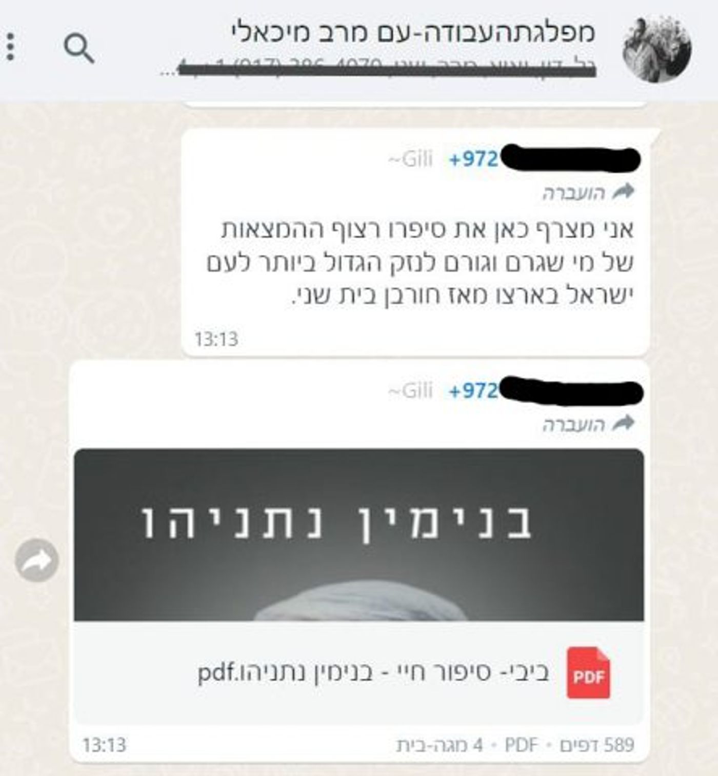(צילום מסך)