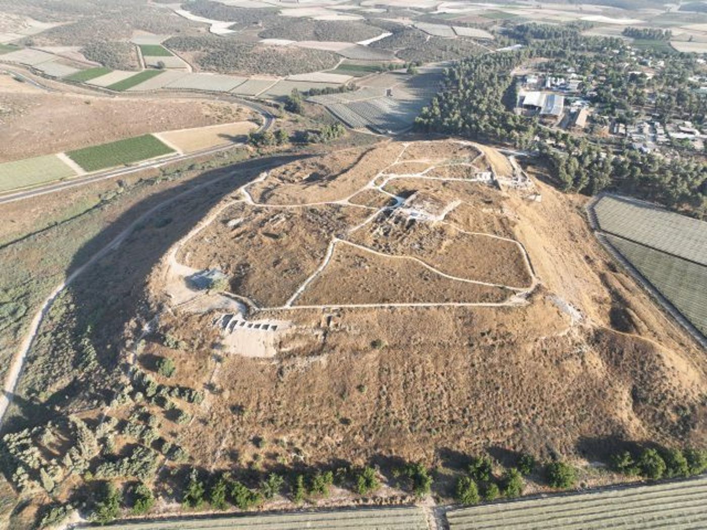 נגד כינים: התגלה המשפט הקדום ביותר שנכתב