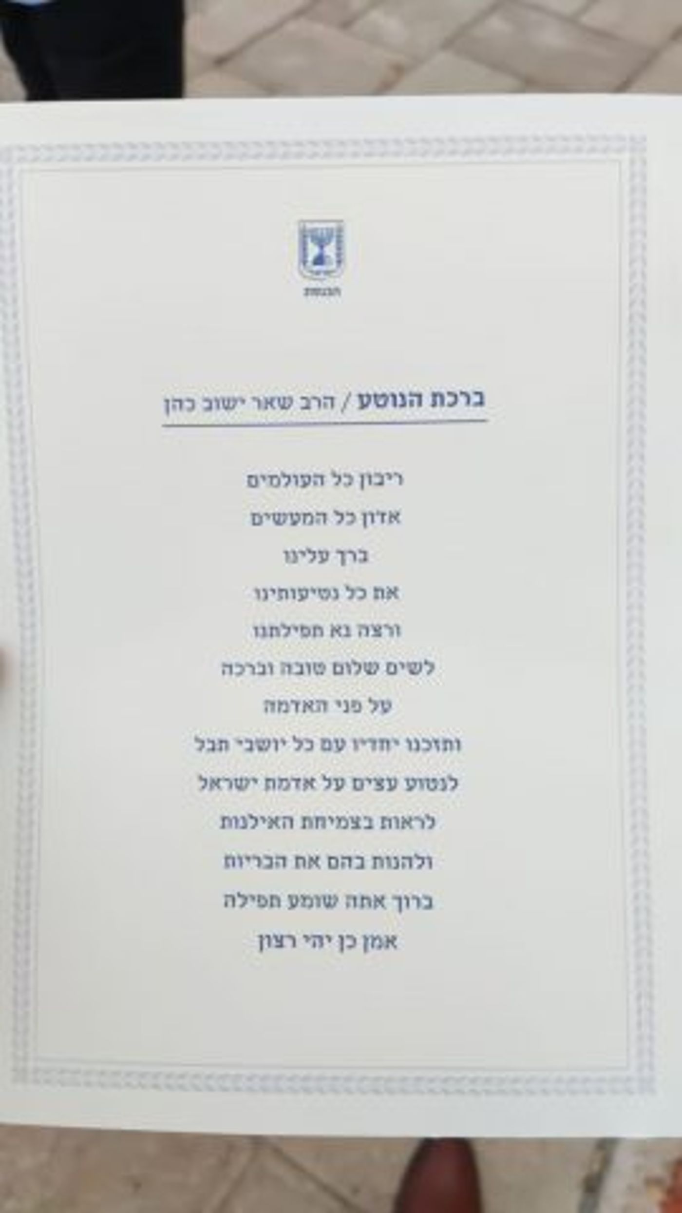 עם "ברכת הנוטע": מנכ"ל הכנסת נטע עץ נדיר | צפו