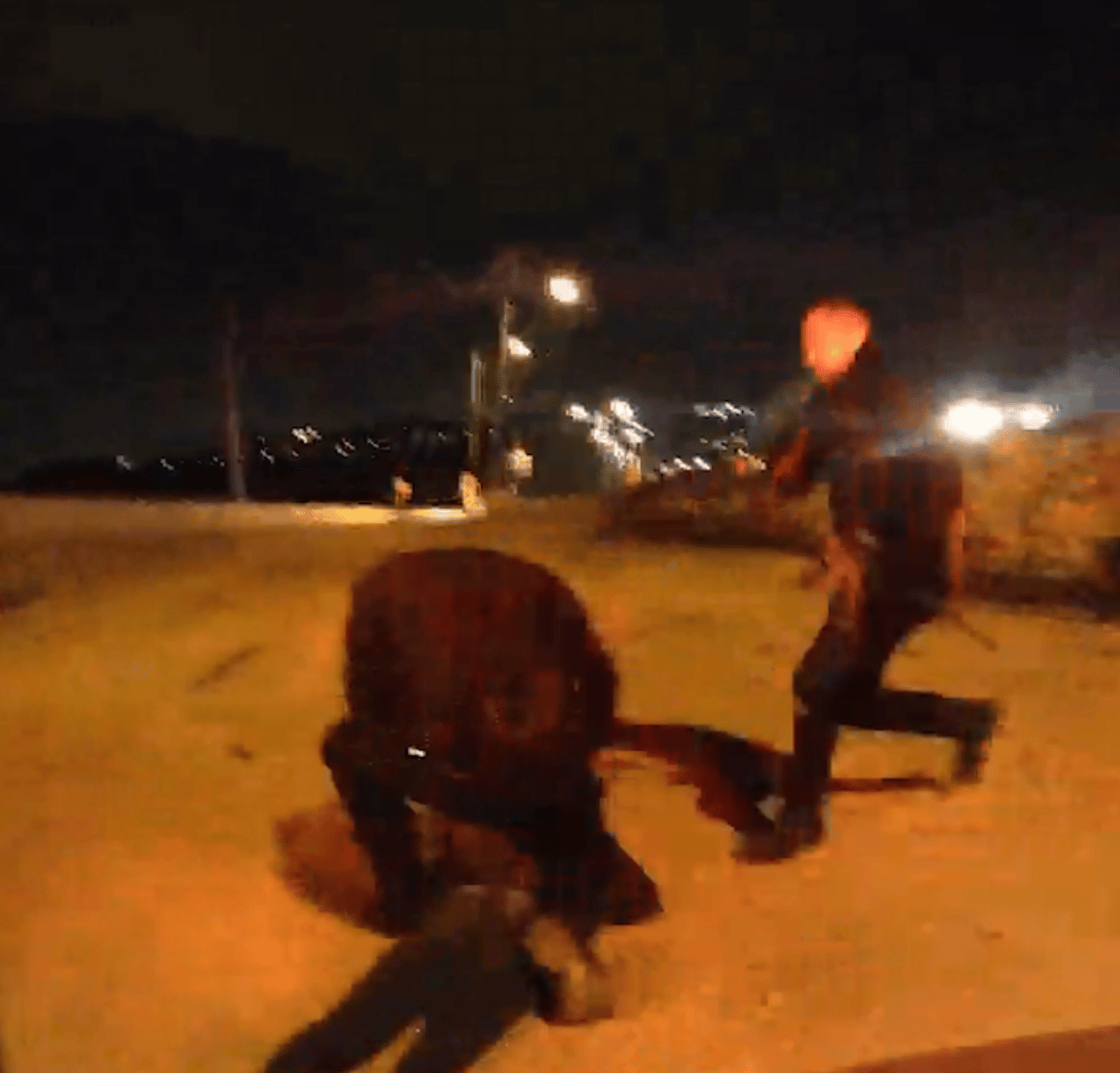 בתום מרדף בסיוע מסוק: שני שב"חים נעצרו | צפו