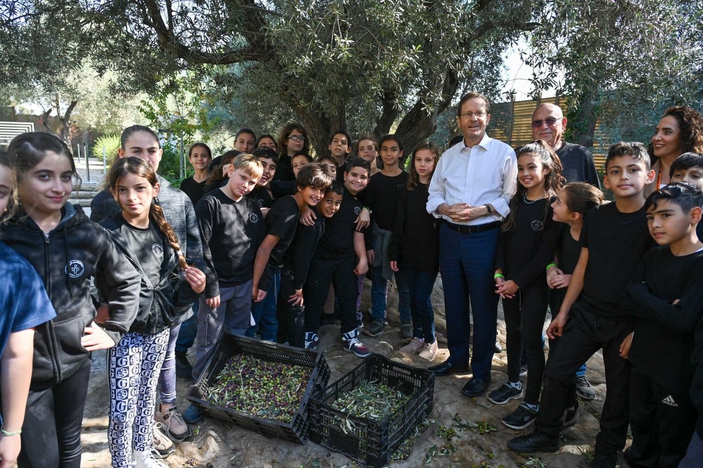 צפו: הנשיא מסק את עצי הזית בגינת בית הנשיא