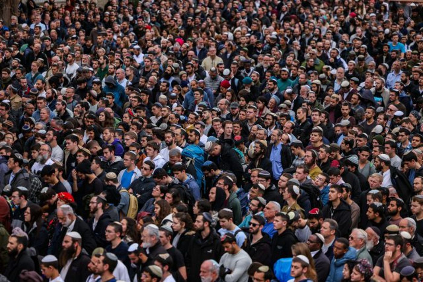 "הבנתי שאתה נאבק בכל הכוח ולא רוצה ללכת" | צפו