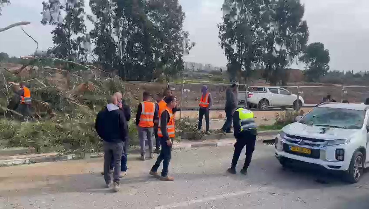 עץ קרס על רכב בקריית אונו: אישה ותינוקת נפצעו קל