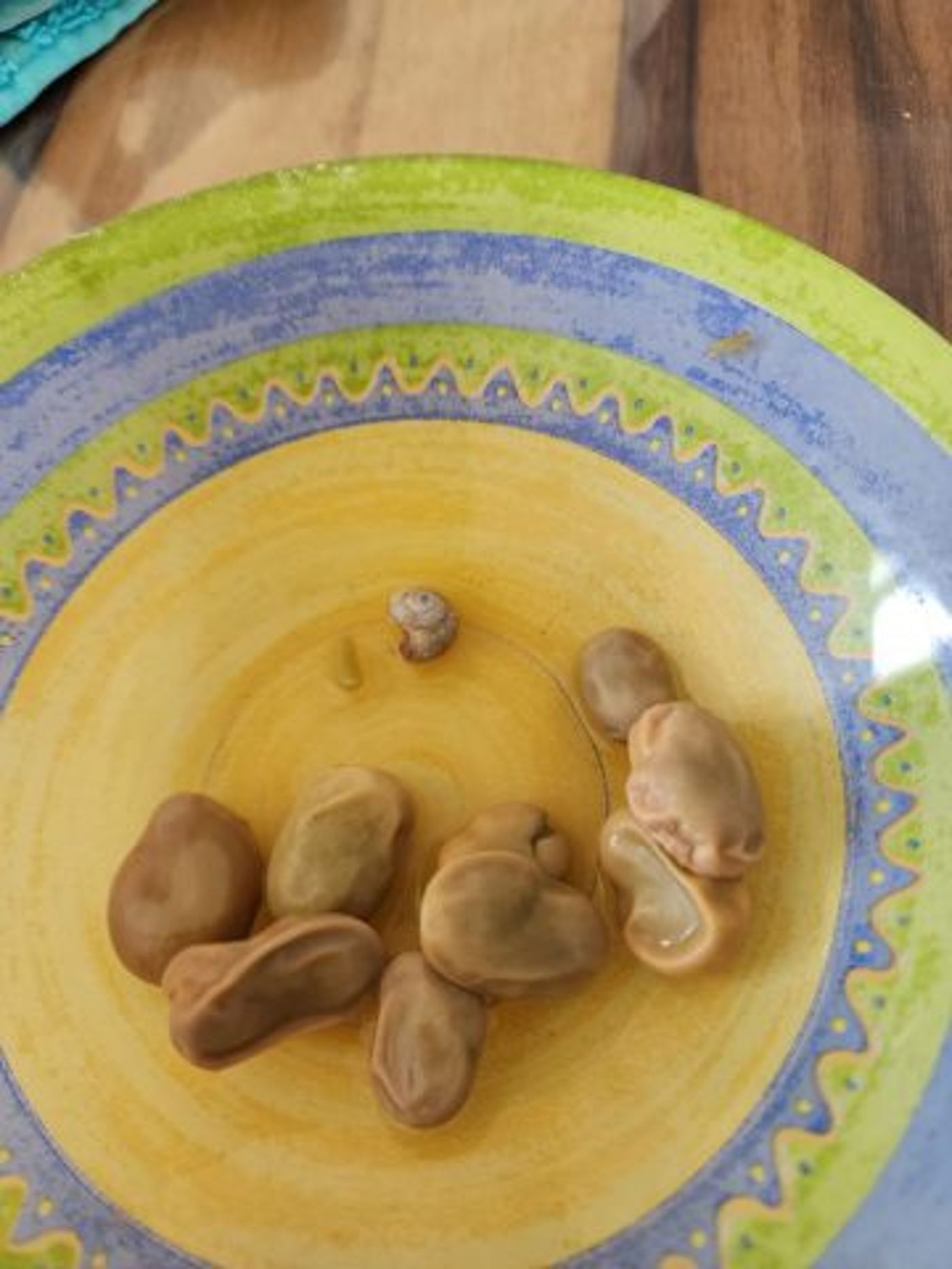 איכס: מצאה שבלול מת בשקית פולים קפואה