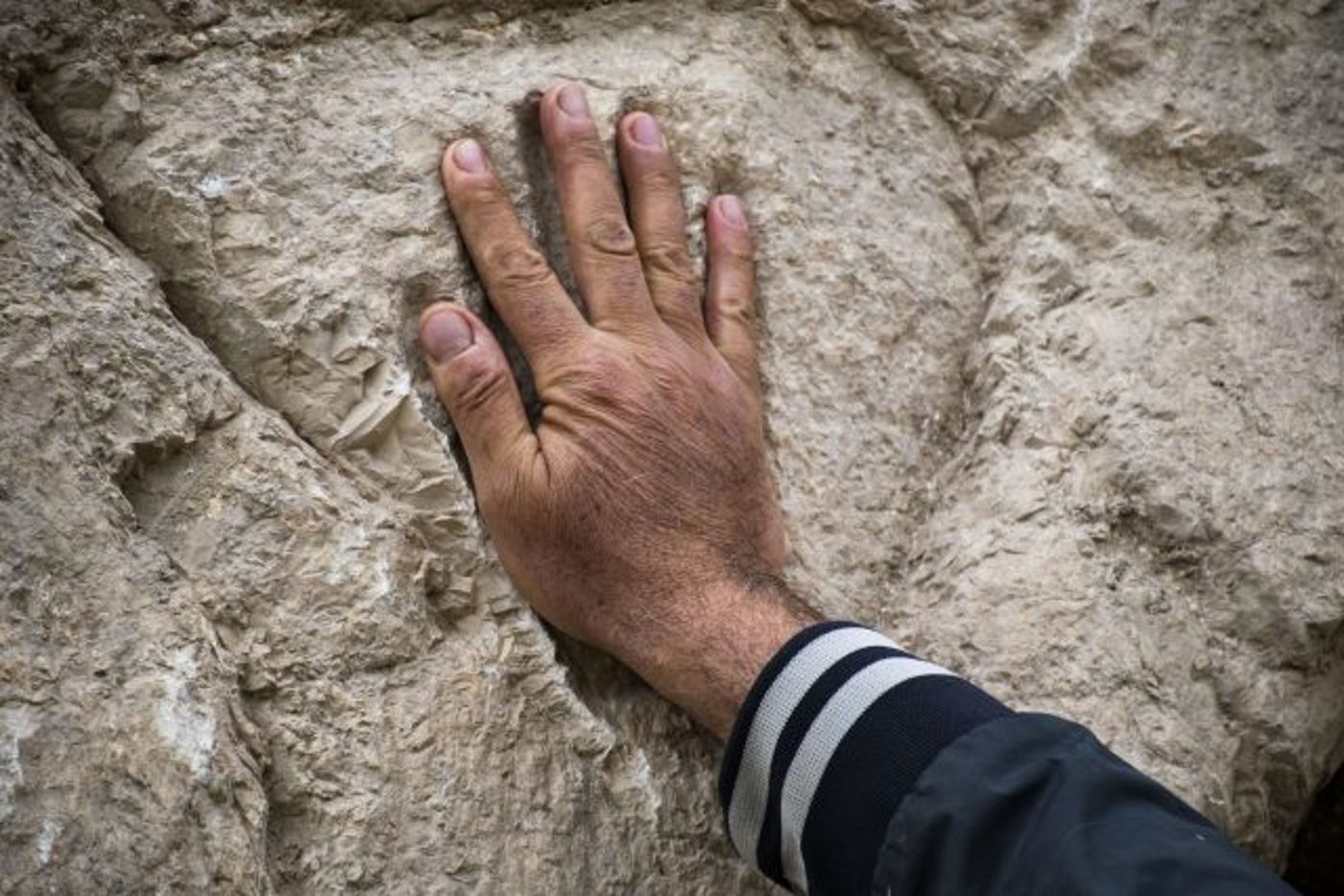 היד שנחצבה בקיר החפיר. (יולי שוורץ, רשות העתיקות)