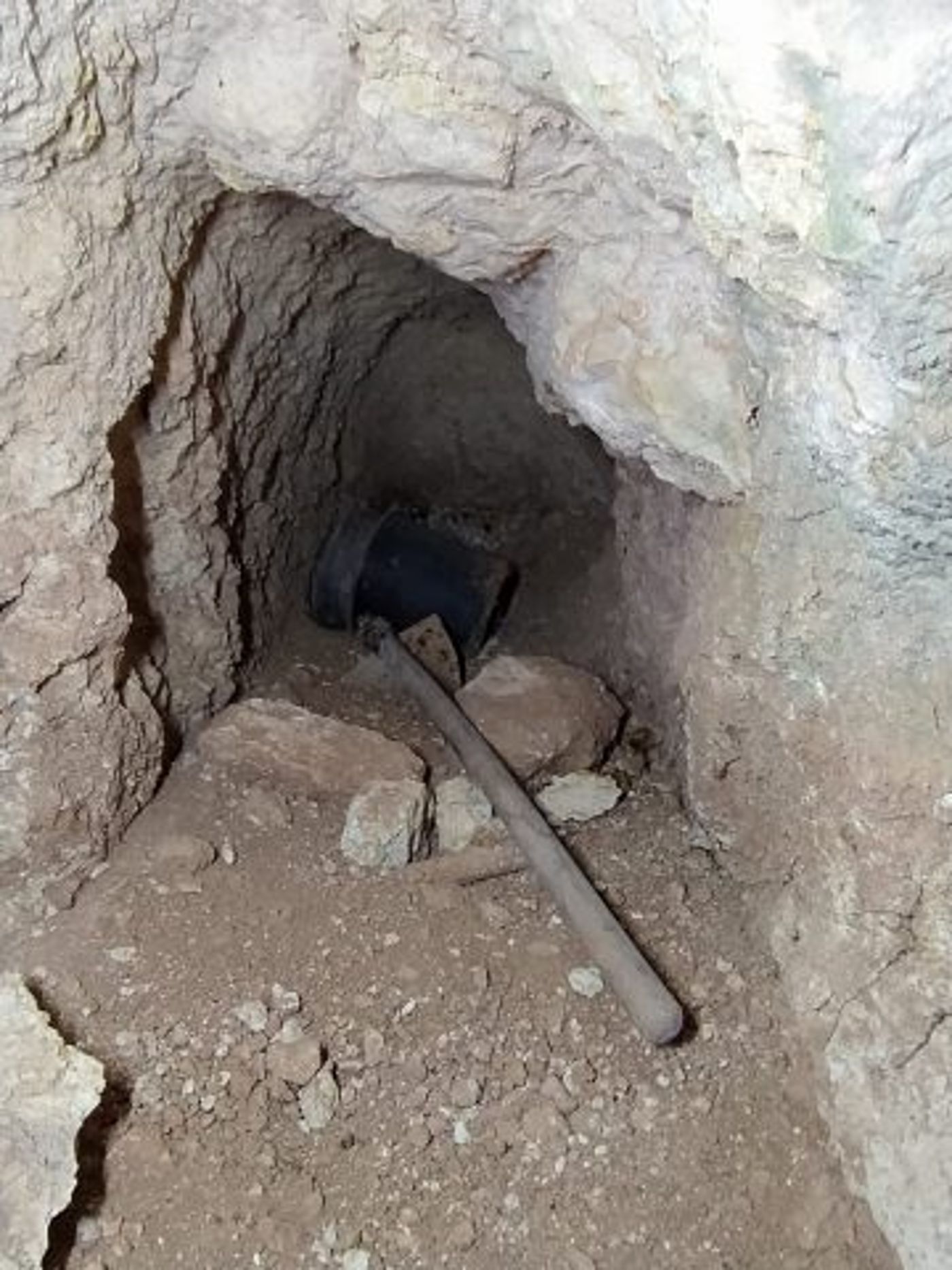 (קרדיט: שומרים על הנצח)