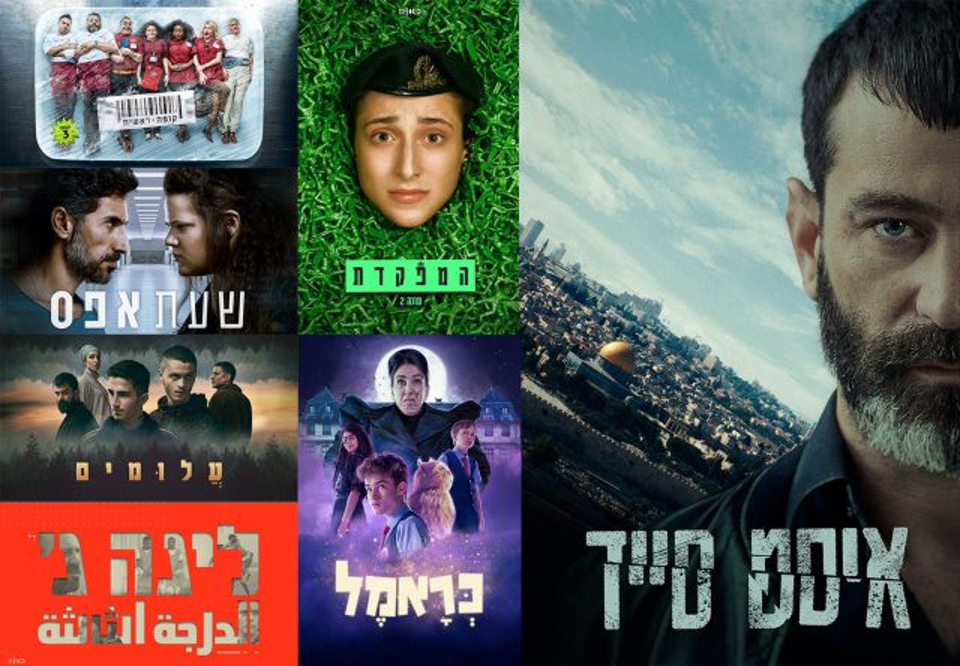 בינג' ישראלי: קופה ראשית והמפקדת מגיעות לנטפליקס