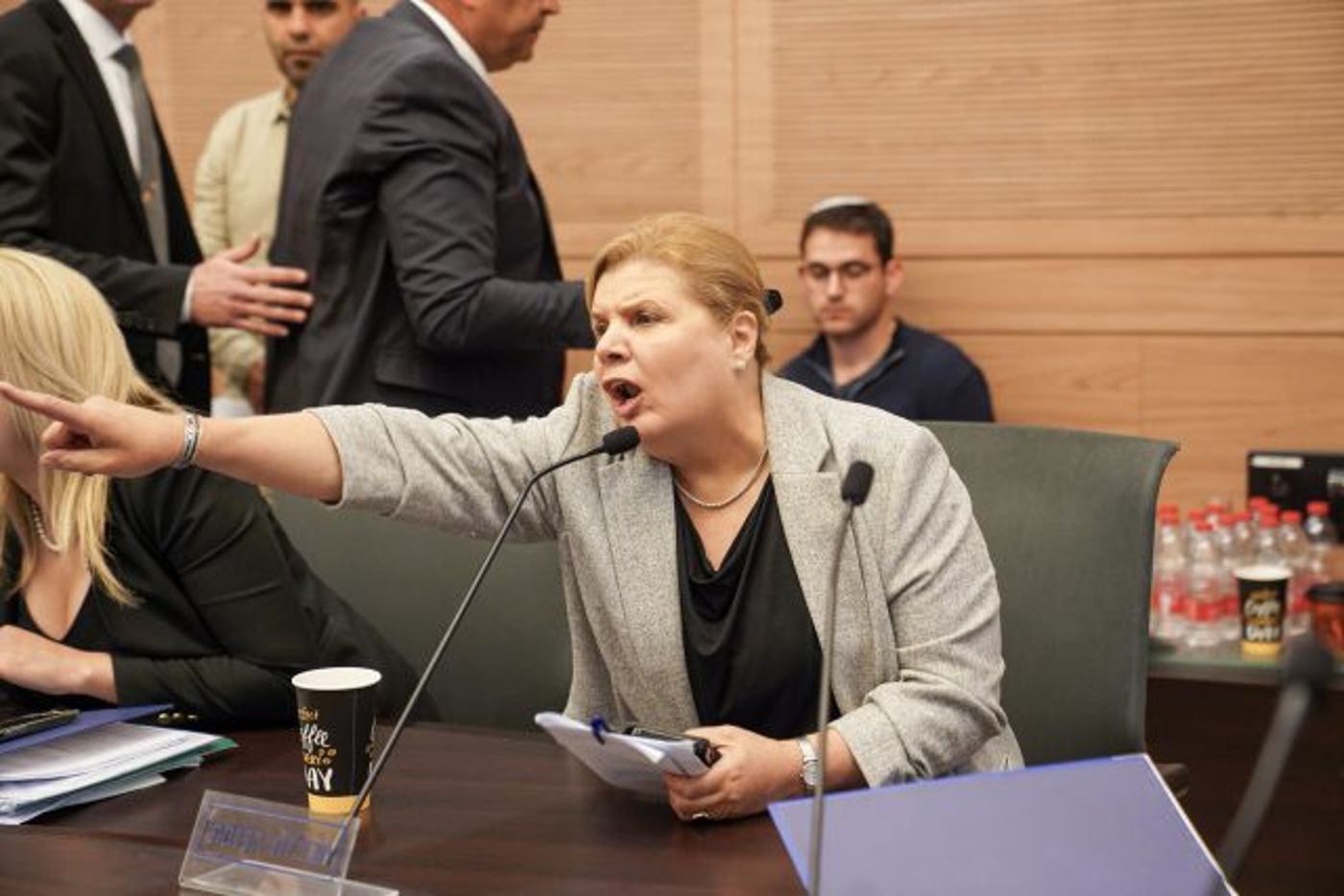 אורנה ברביבאי בוועדת החוקה (דני שם טוב, דוברות הכנסת)