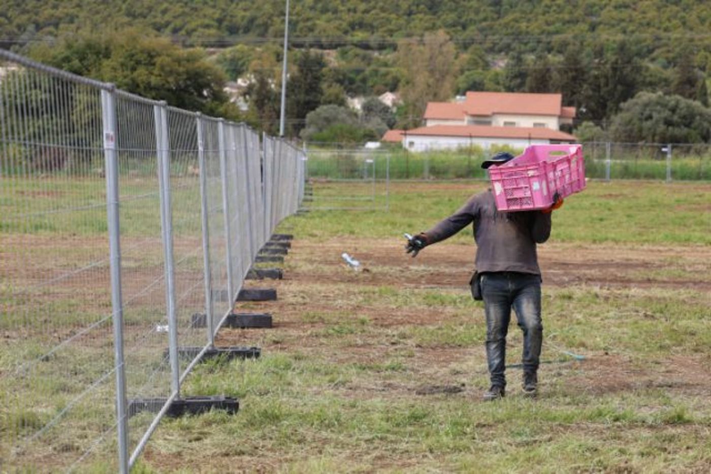 גדרות וטרקטורים: צפו בהכנות לחגיגות במירון