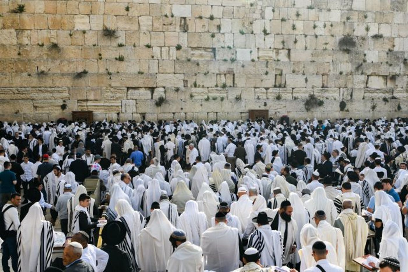 יְבָרֶכְךָ ה' וְיִשְׁמְרֶךָ | גלריה: מעמד ברכת הכהנים בכותל