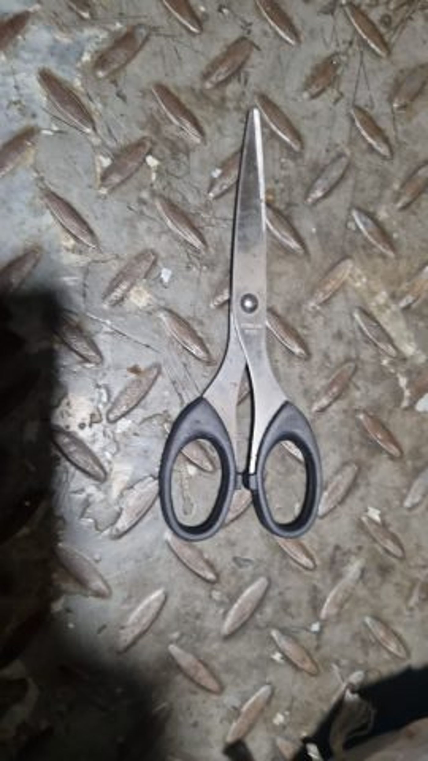המספריים איתה תכננה החשודה לבצע את הפיגוע