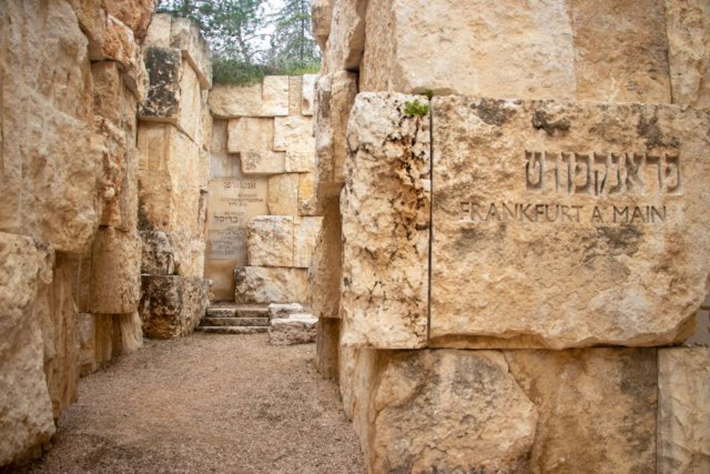 חללי הנצר האחרון והשביל המחבר: הסיפור שלא ימחה