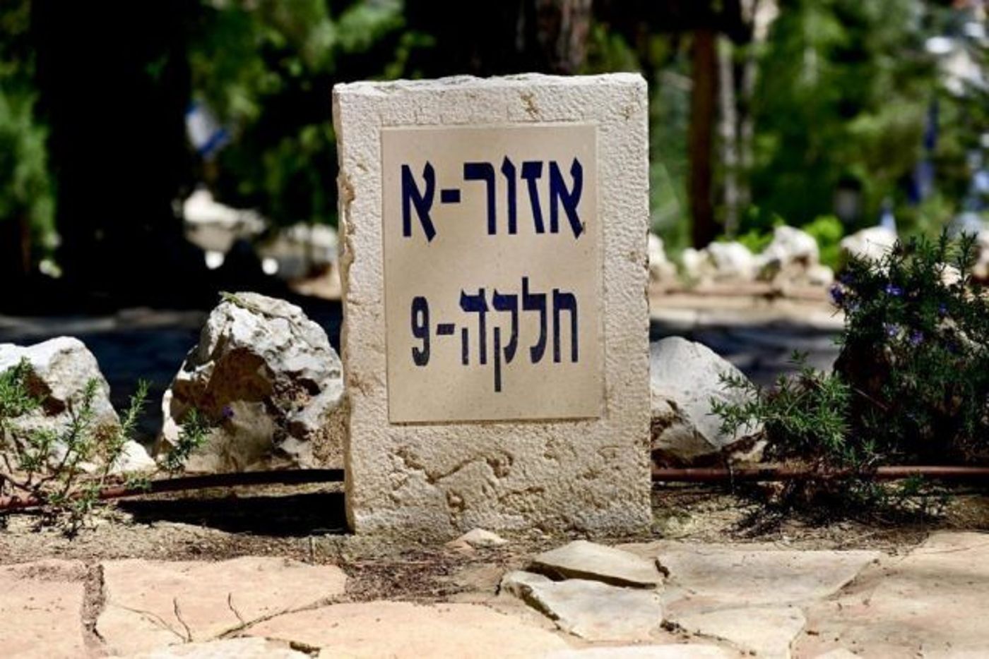 סיפורה של חלקה 9 – שכל כולה עם אחד | נאום הנשיא