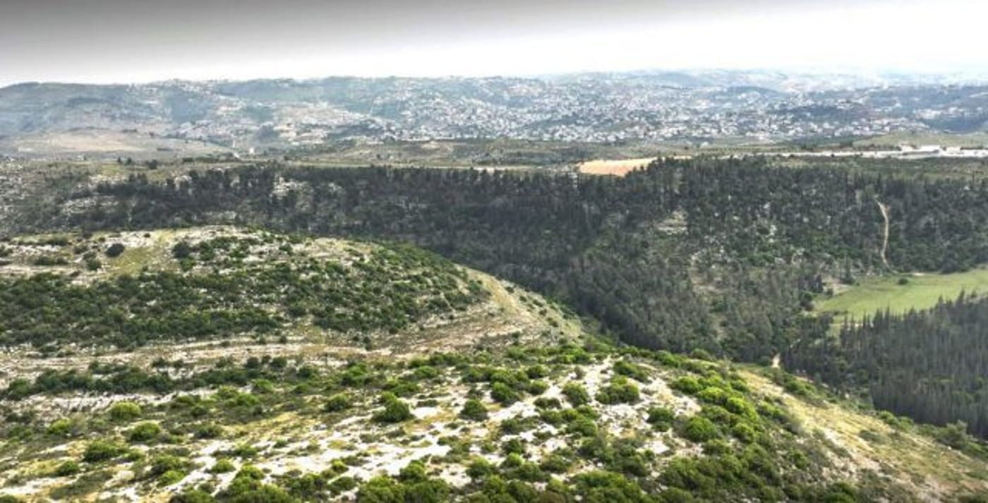 גבעת הקרב בשפלת יהודה. (איל מרקו, רשות העתיקות)