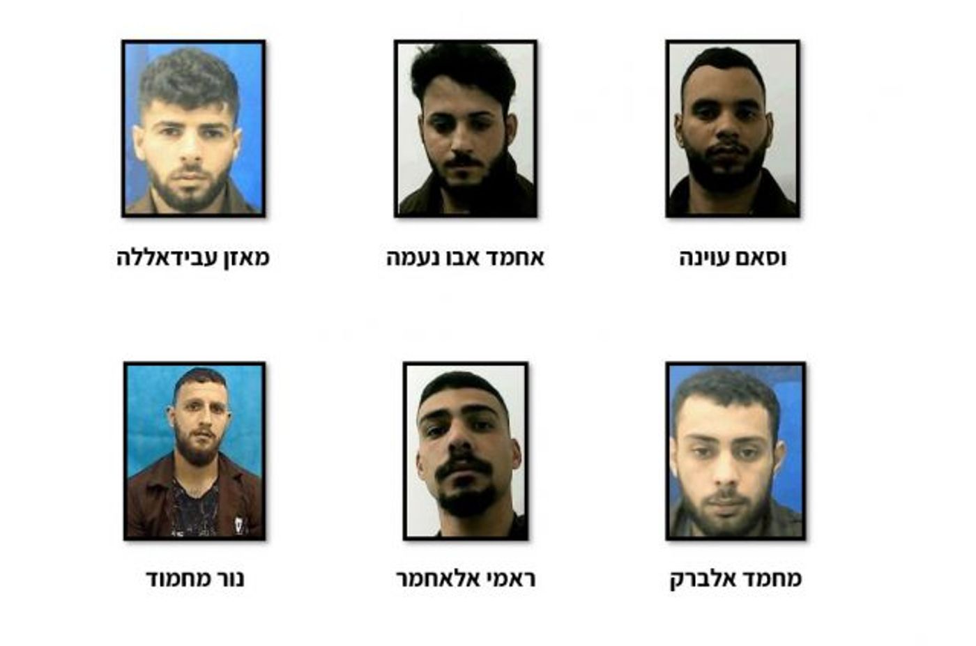 פעילי החזית העממית שנעצרו