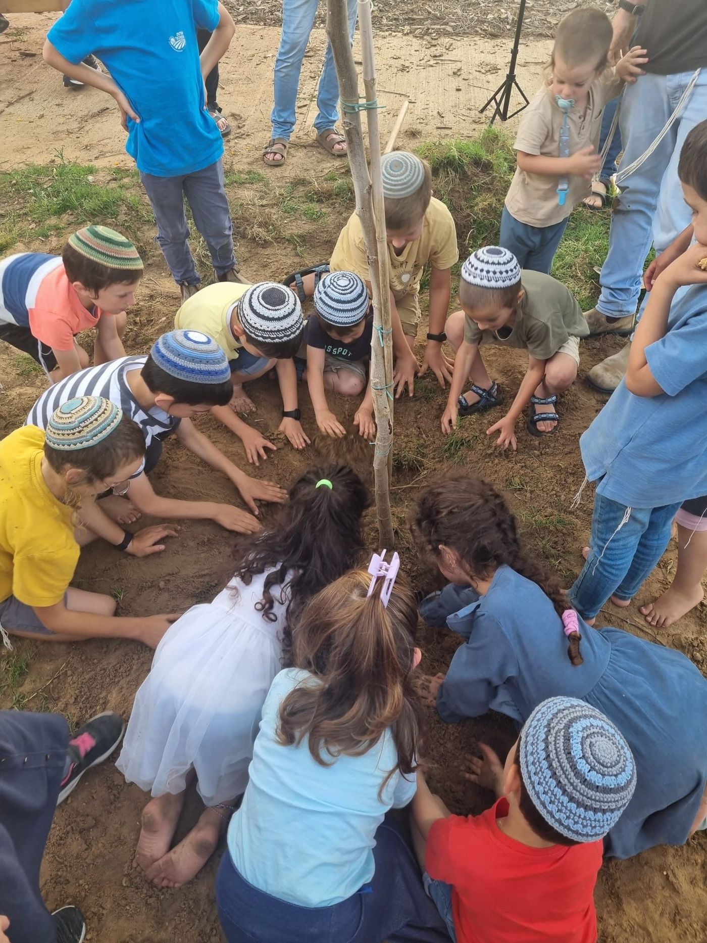 ילדי כרם שלום שתלו עצים בבורות שנפערו מהרקטות