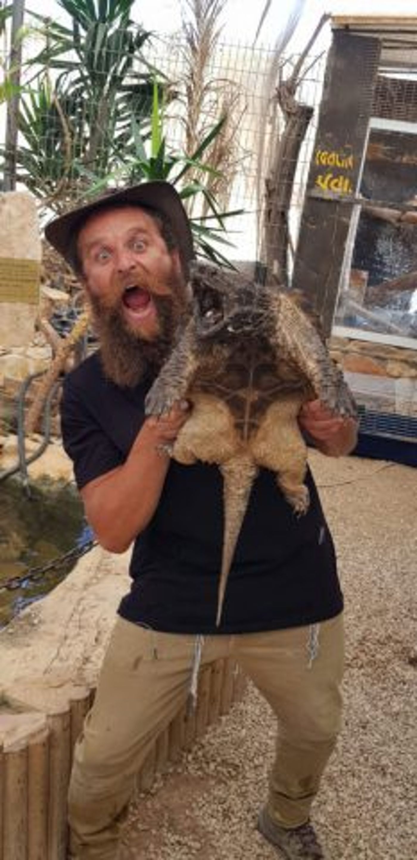 קיץ בגוש עציון: מעיינות, הופעות וערב בשר ויין