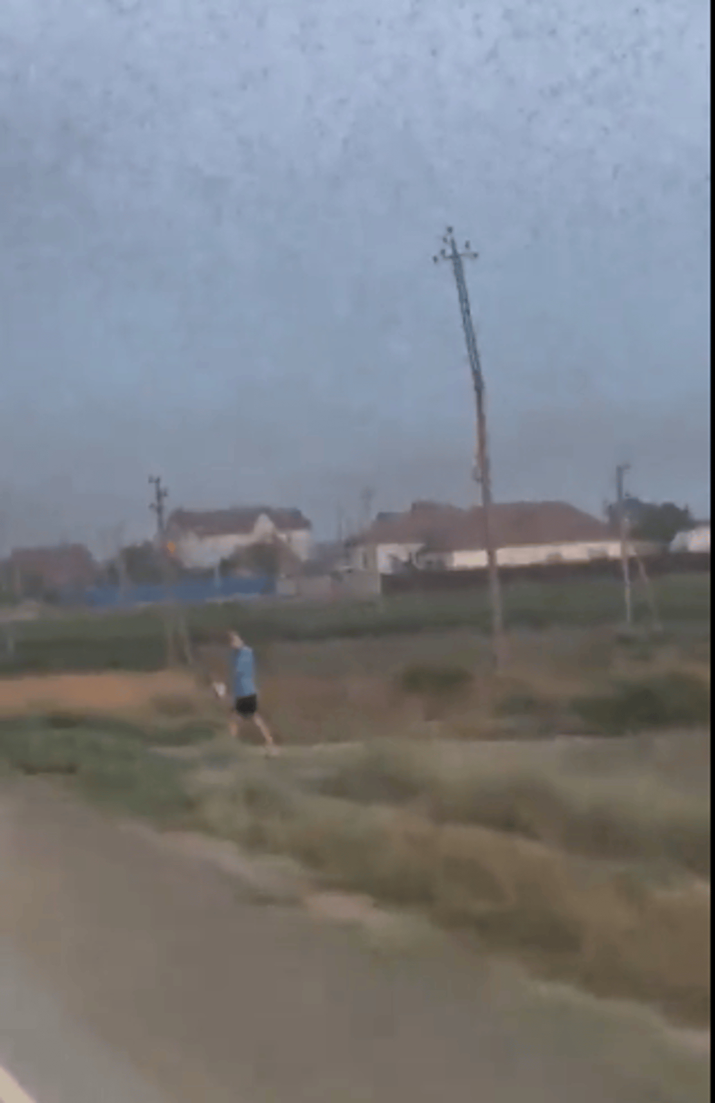 מכה ברוסיה: נחיל ארבה שטף את אסטרחן | צפו