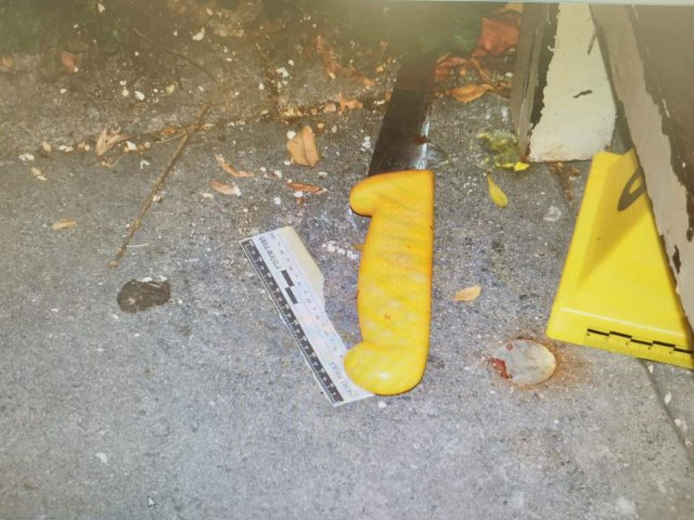 פוענח הפיגוע בגילה: הוגשה הצהרת תובע נגד המחבלים