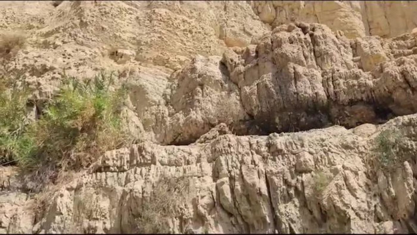 אחרי חילוץ הפצועים: תיעוד ממקום האסון