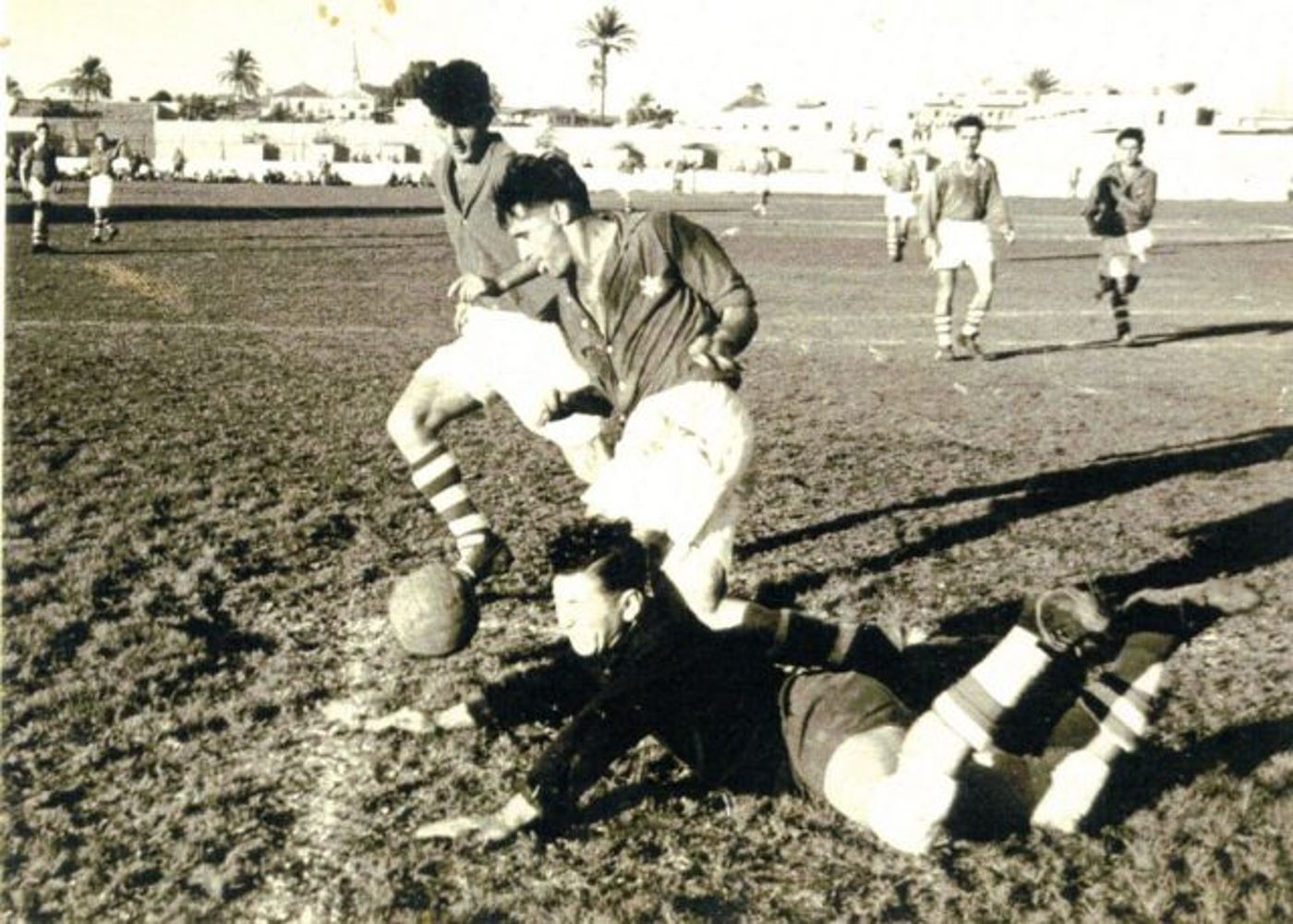 נוח רנזיק