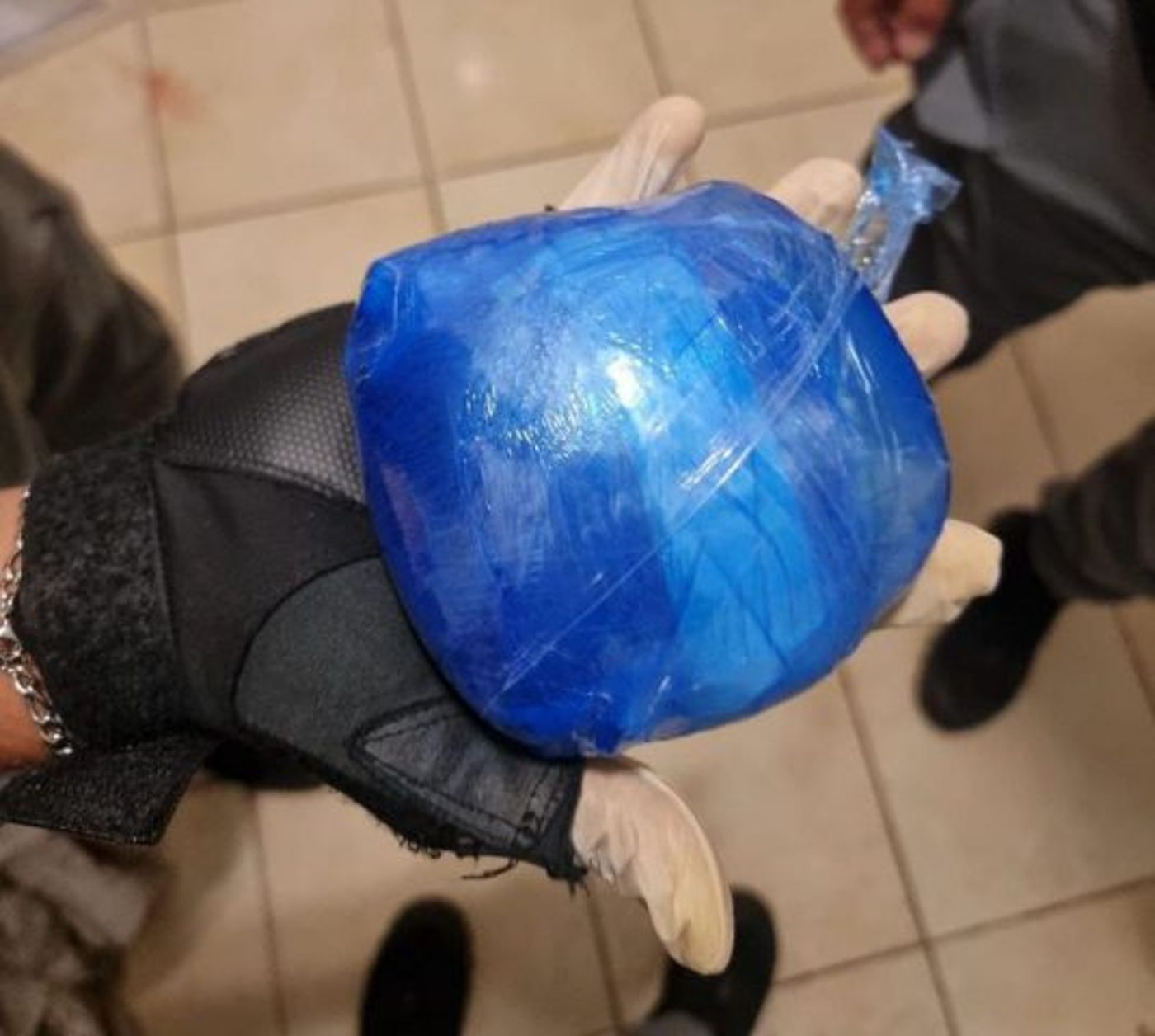 הממצאים החשודים
