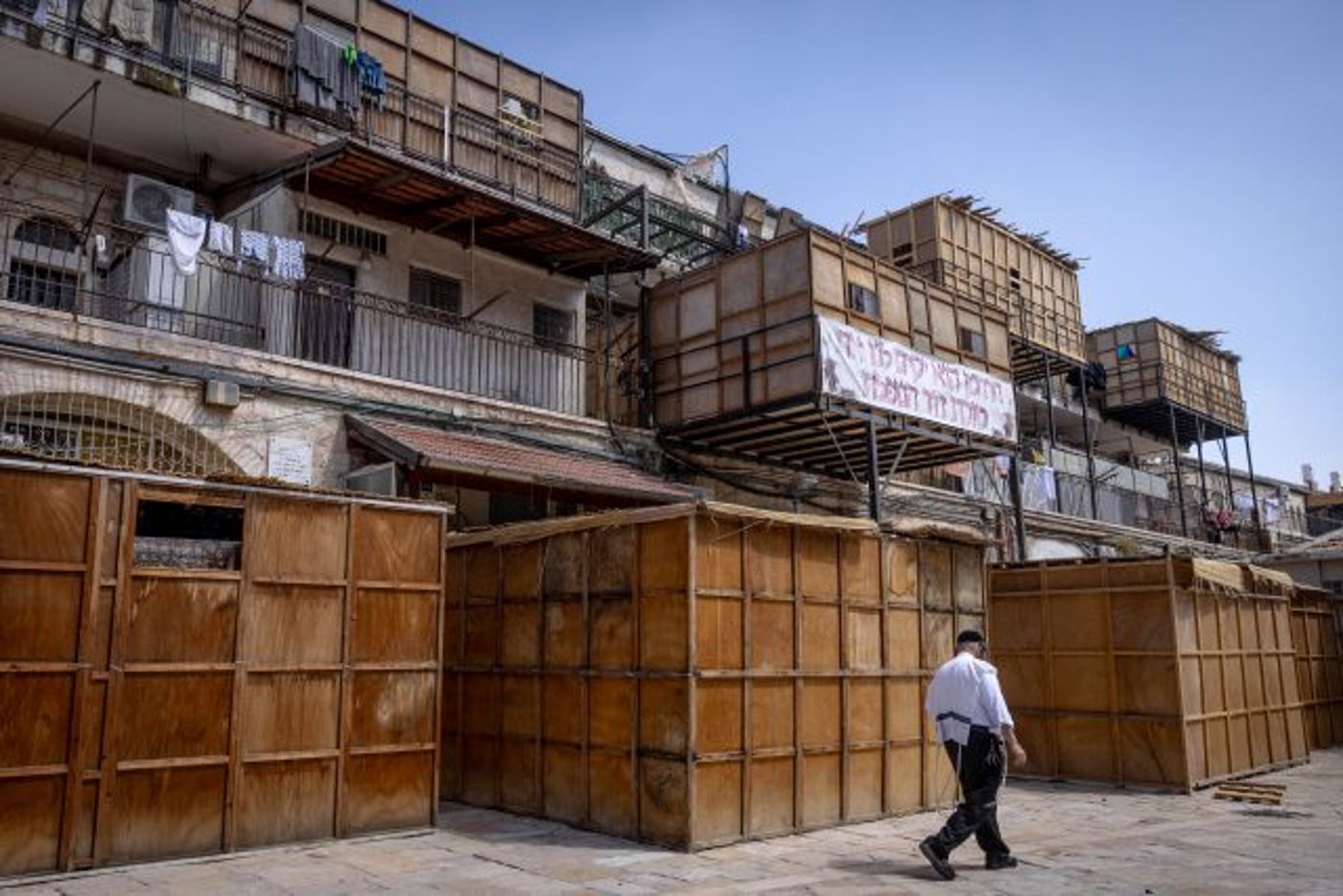 לקראת חג הסוכות: קק"ל תחלק לציבור סכך בחינם