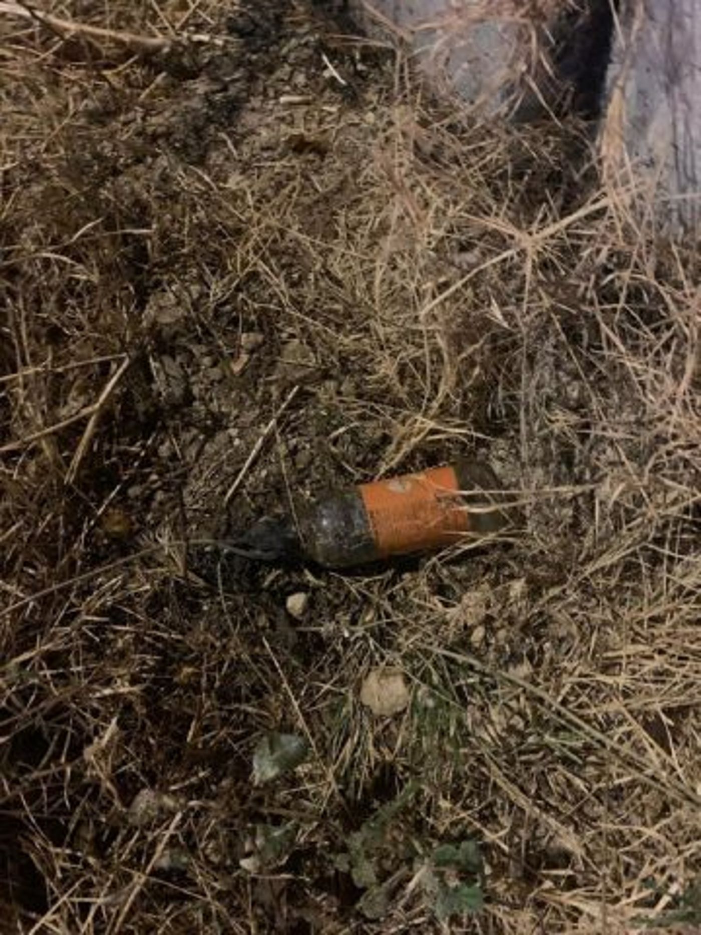 יו"ש: כוחות הביטחון עצרו הלילה 12 מבוקשים