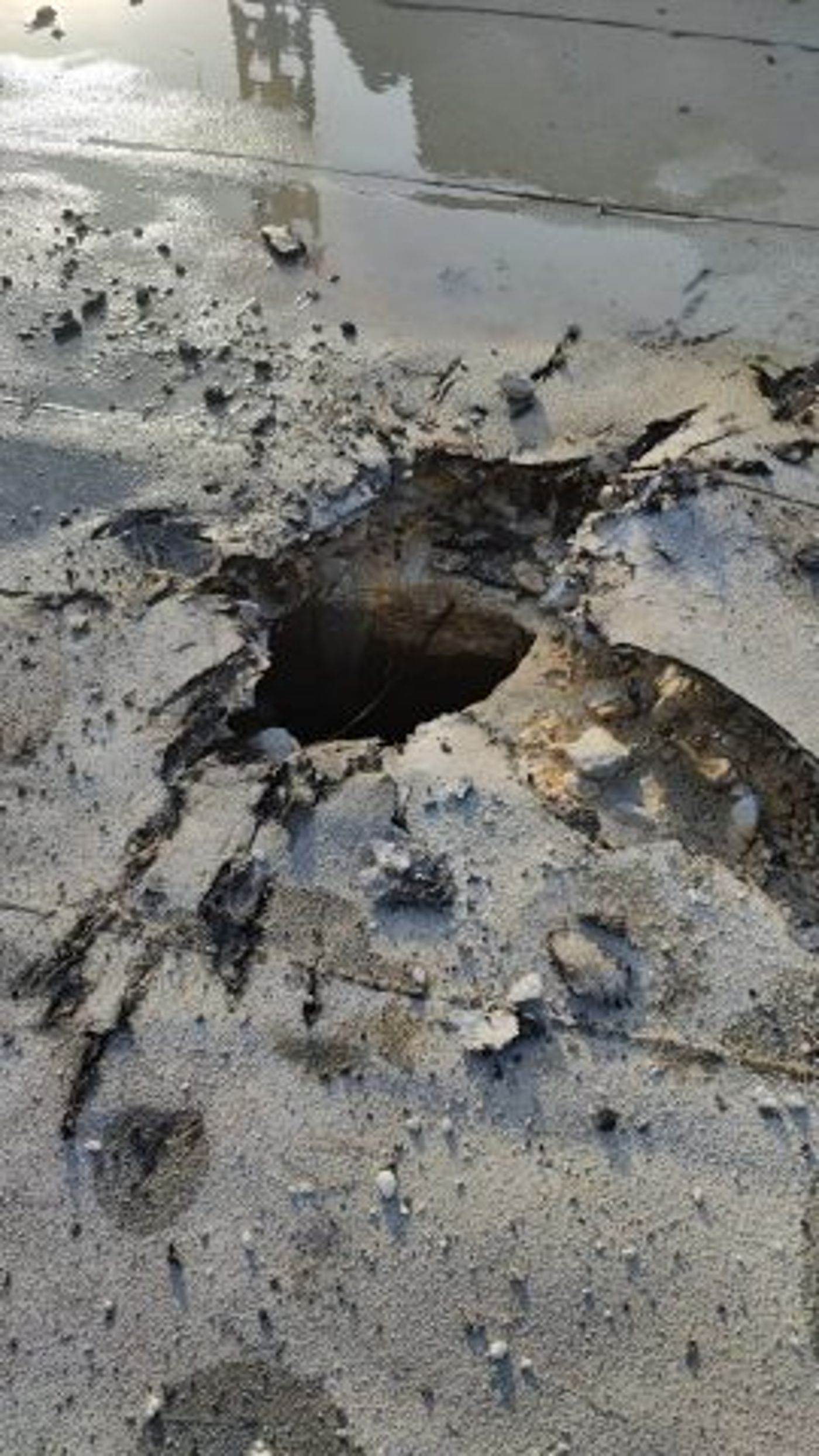 במטחים האחרונים: פגיעה במוזיאון השואה ביד מרדכי