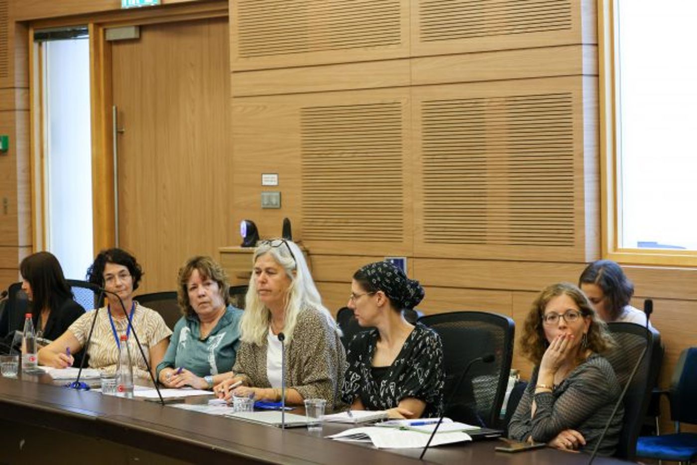הדיון בוועדה