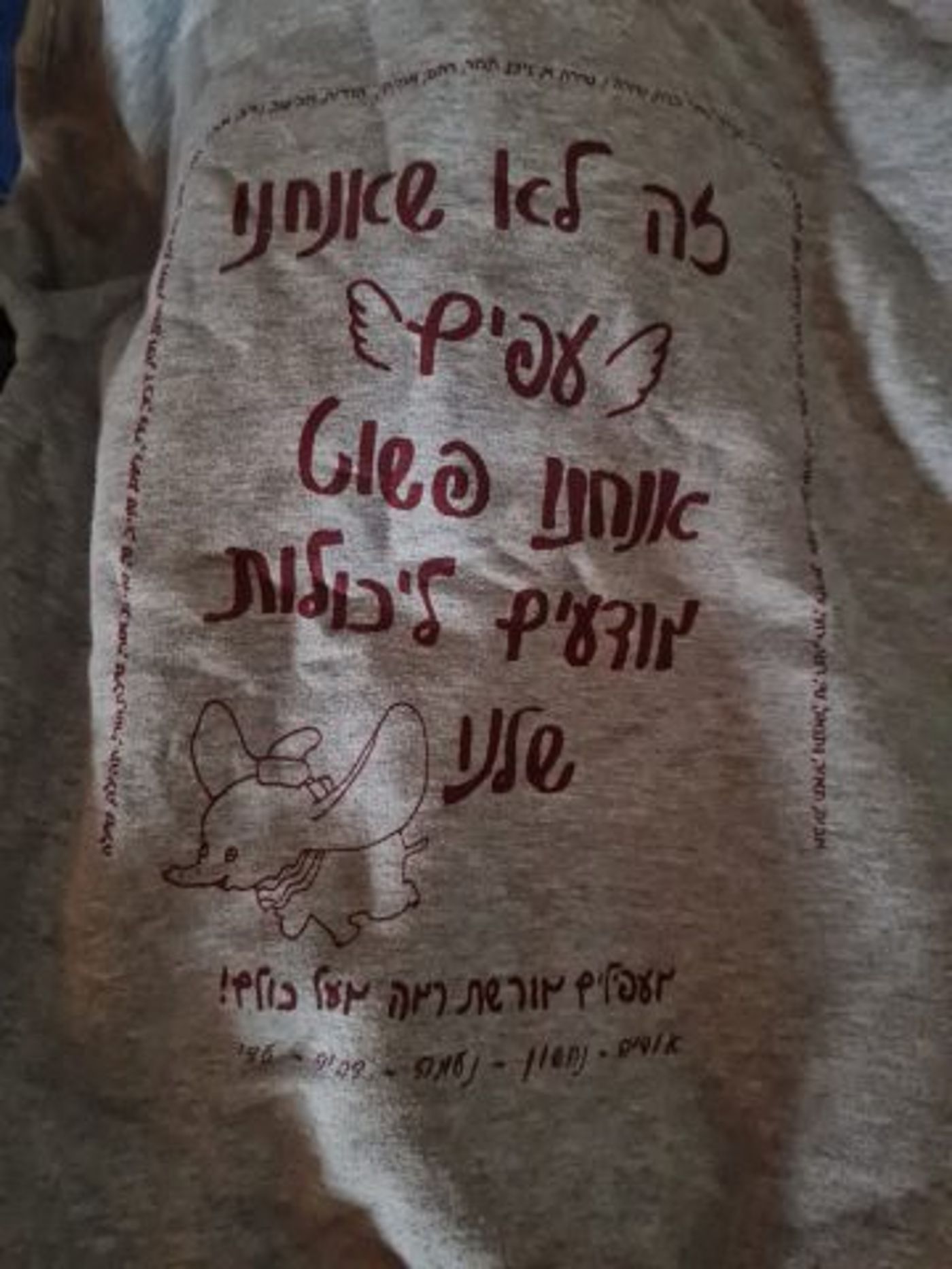 איך הוא הגיע לעזה?