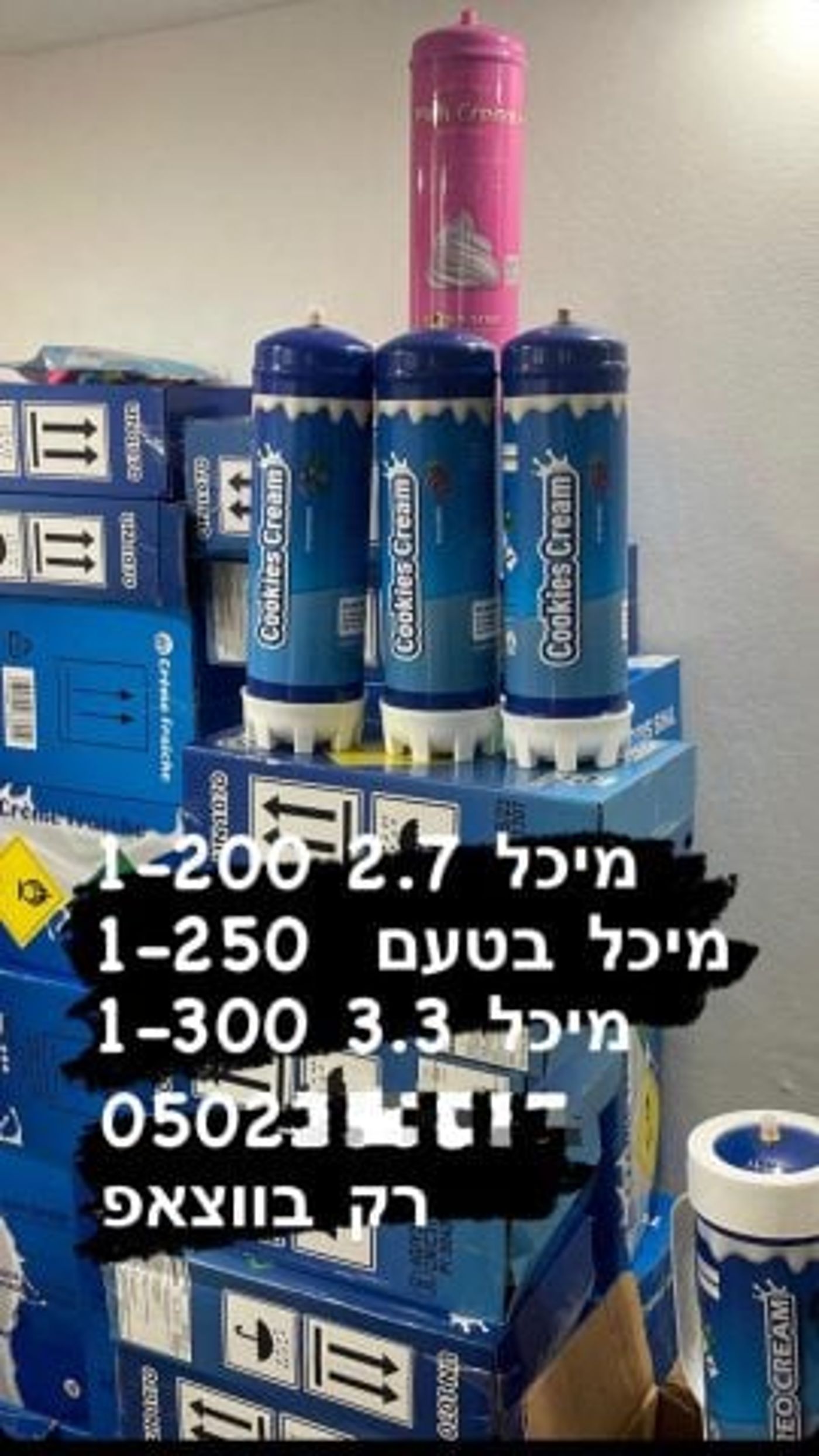הפרסום ברשת החברתית