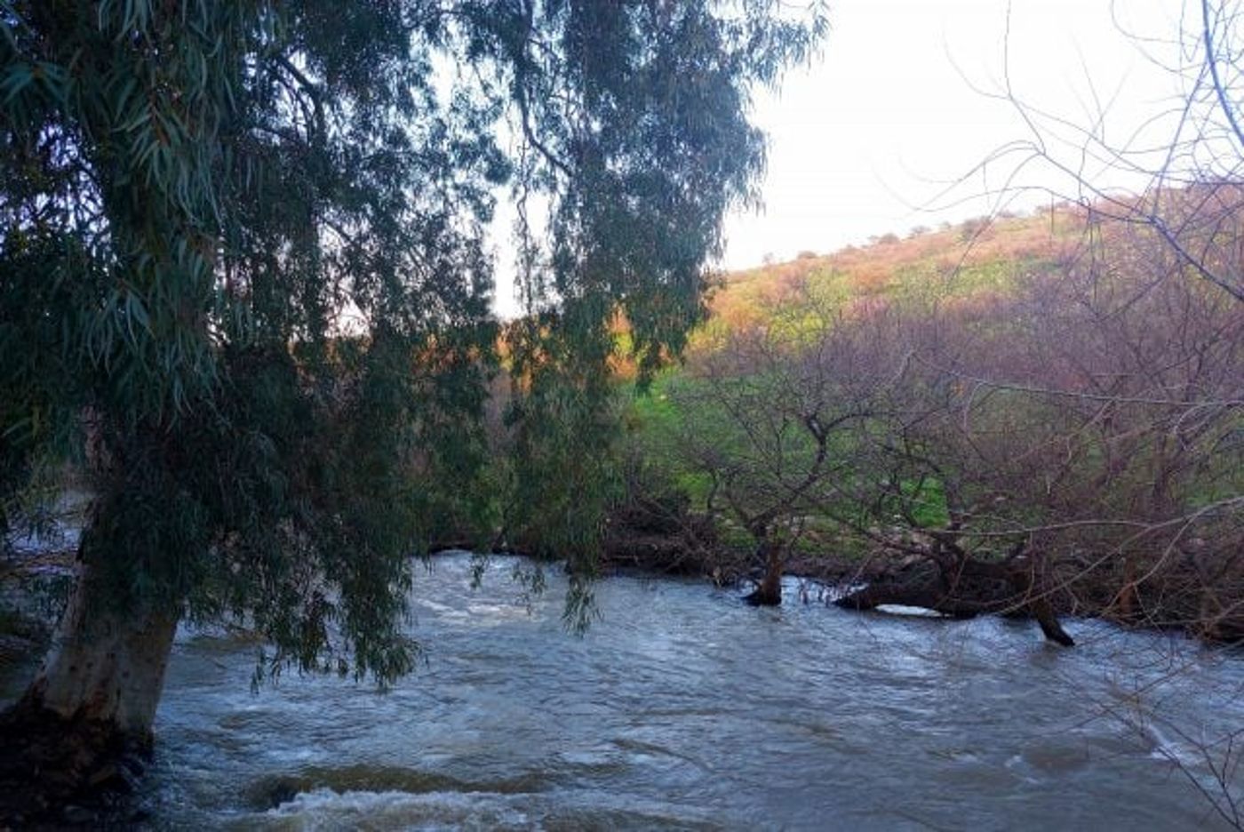 45 קוב לשניה | מרהיב: זרימה אדירה בנהר הירדן. צפו