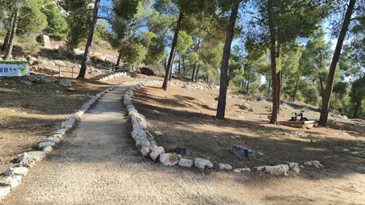 יער קהילתי הר נוף ירושלים, צילום יוסי זמיר ארכיון קקל