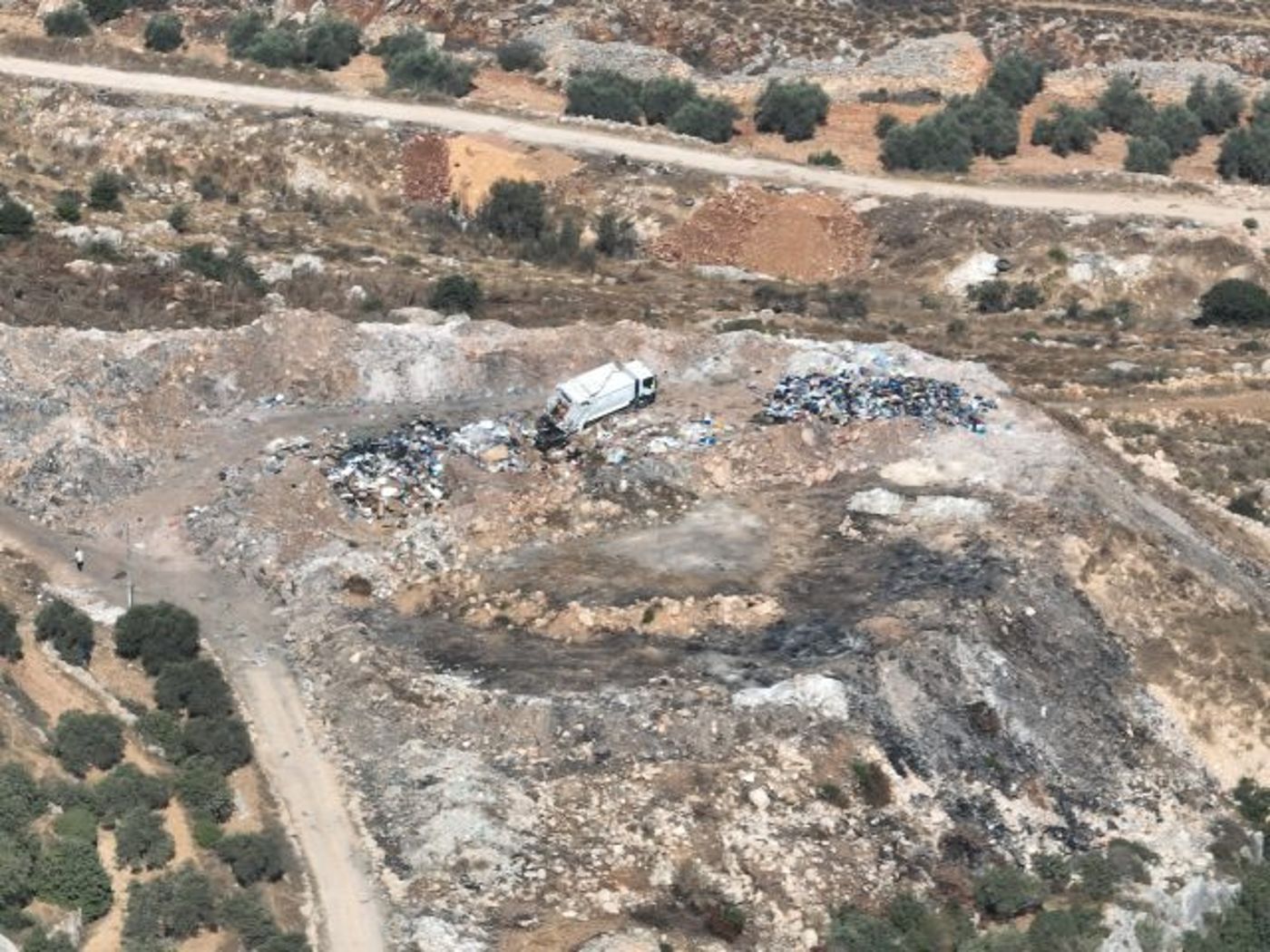 קרדיט: תנועת רגבים