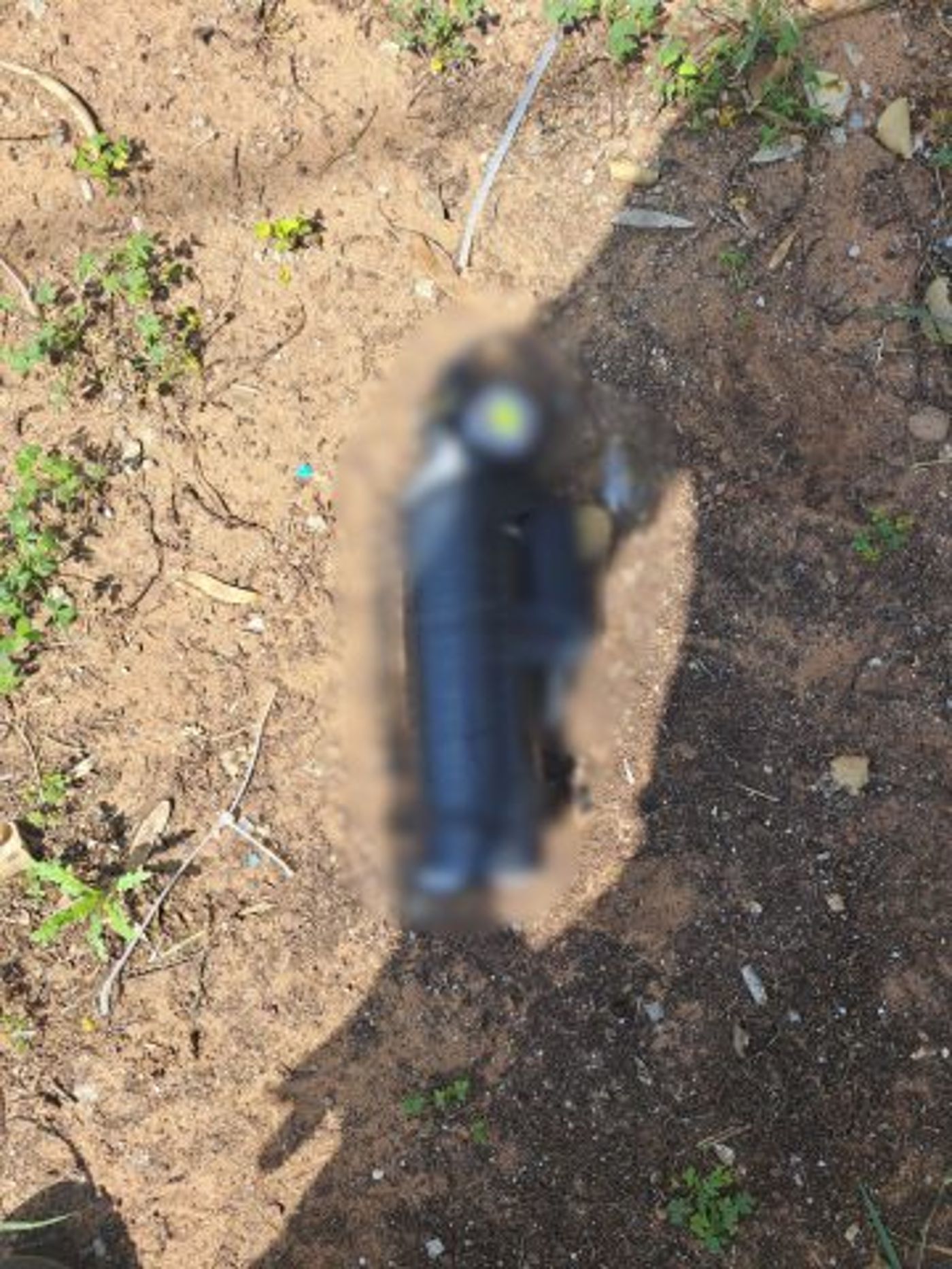 המטען שאותר