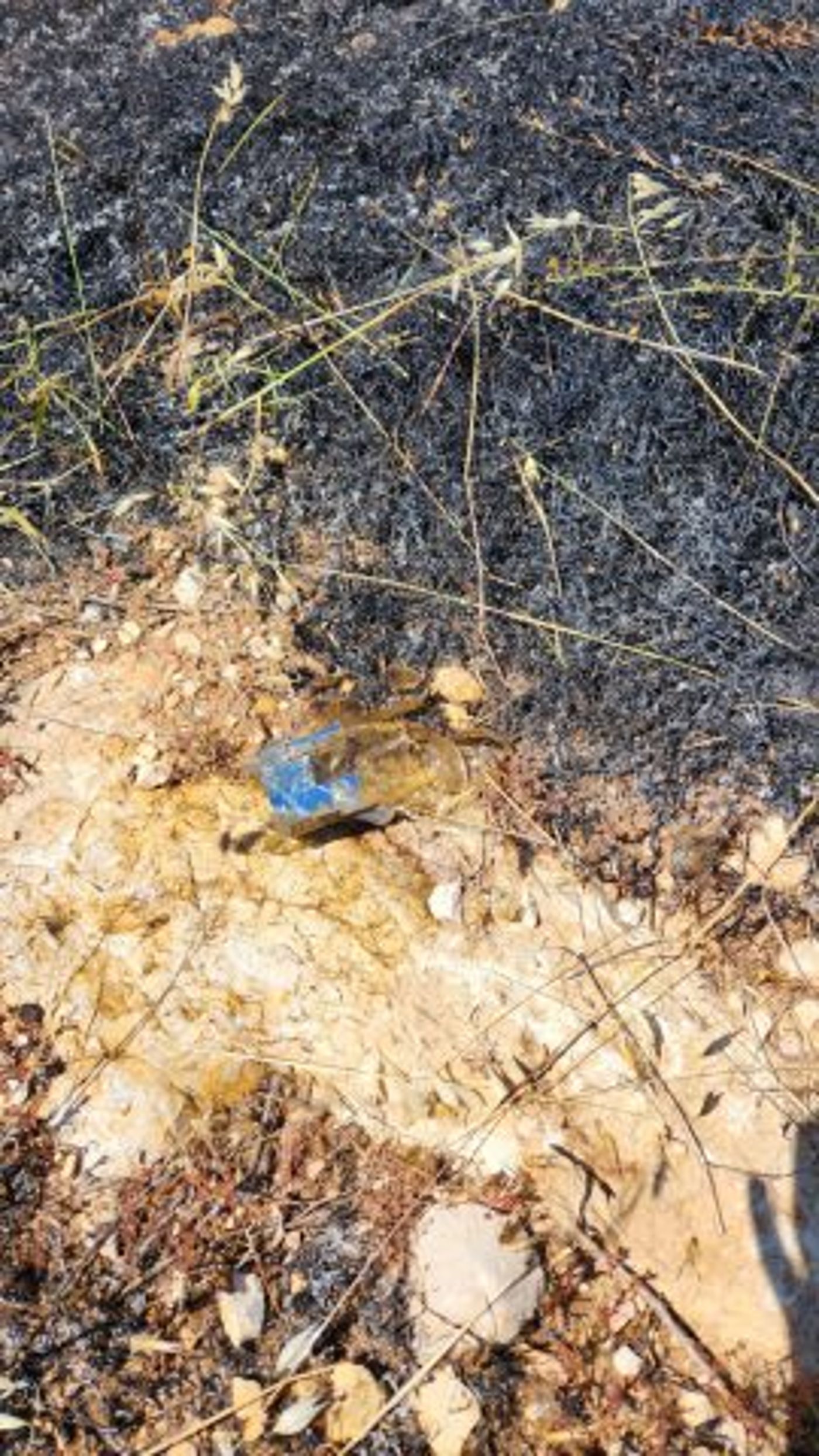 ערבים הציתו שדות בבנימין, פעיל שמאל: זה מתנחלים