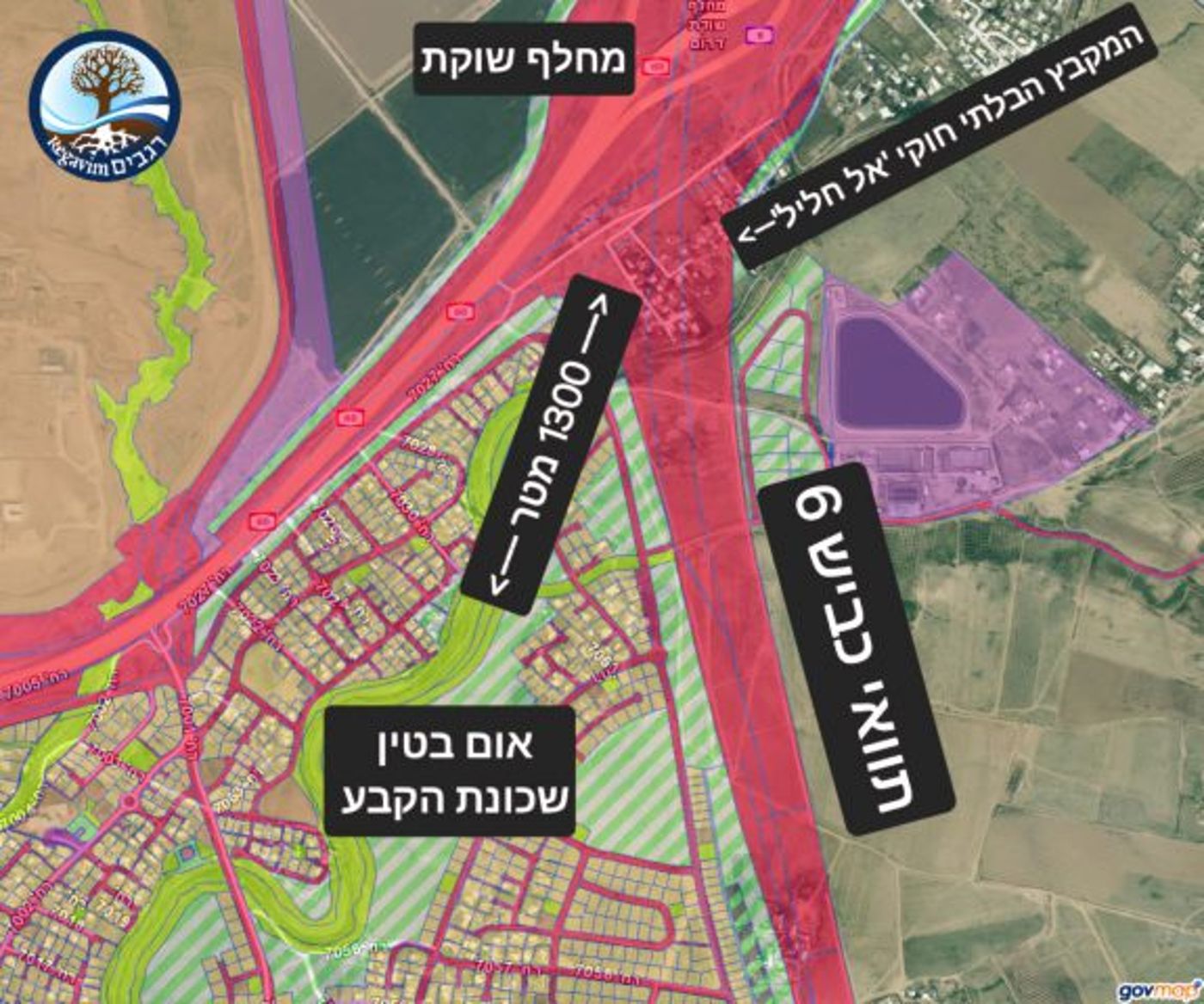 (אינפוגרפיקה: רגבים)