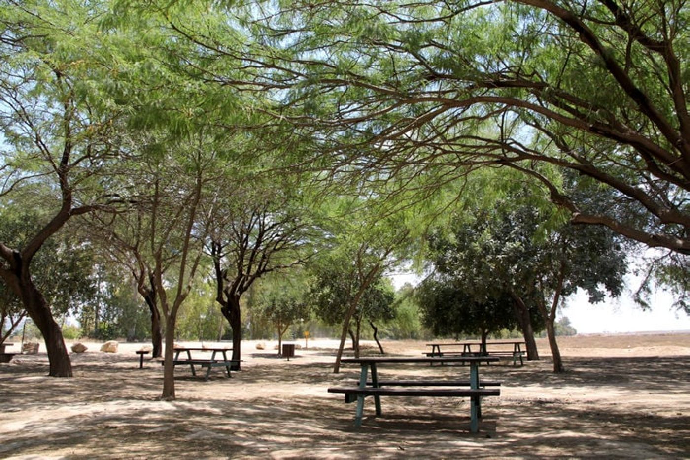 על האש: הפארקים המושלמים למנגל ביום העצמאות