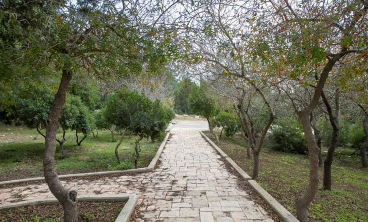פארק עצמאות