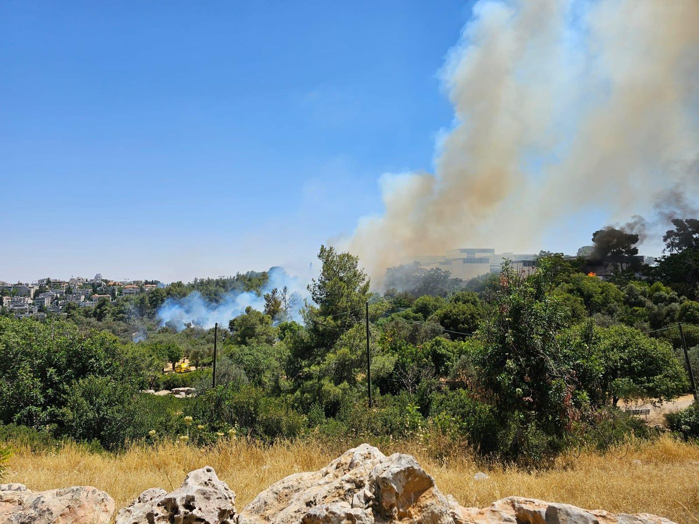 שריפה פרצה ביער חרובית: עשרות מטיילים פונו מהאזור
