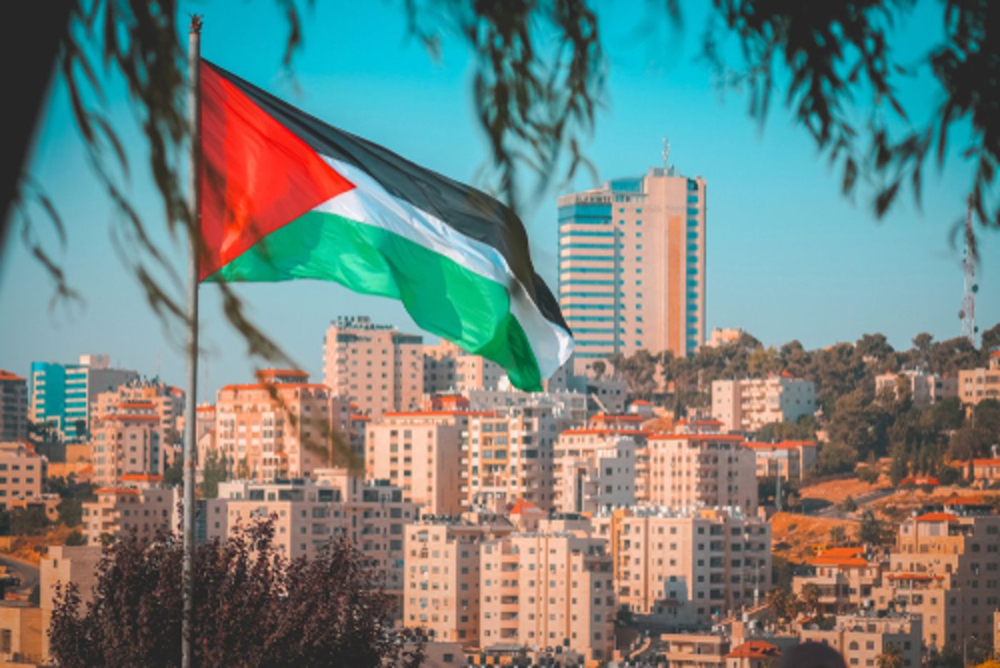 חשש אמיתי: זה התרחיש ממנו מזהירים בשב"כ