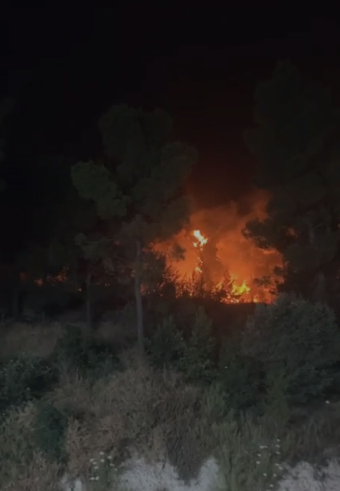 שריפת ענק ביער ביריה, בקצרין הושגה שליטה על האש