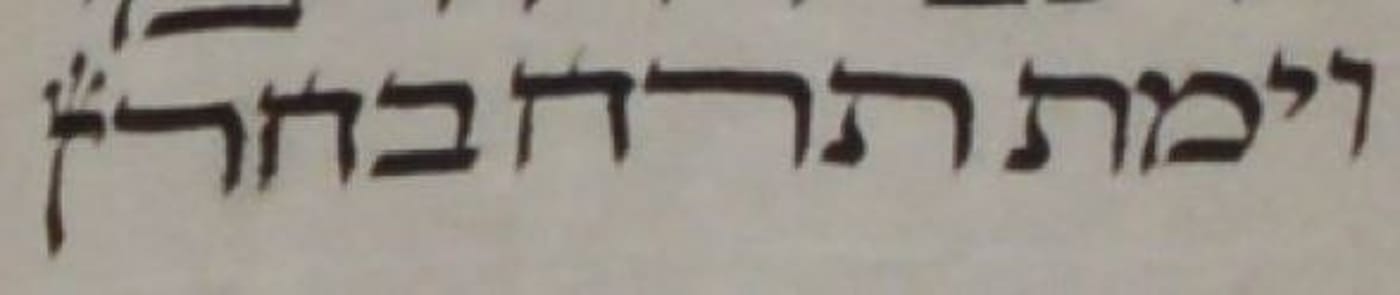 הנון ההפוכה בסוף פרשת נח