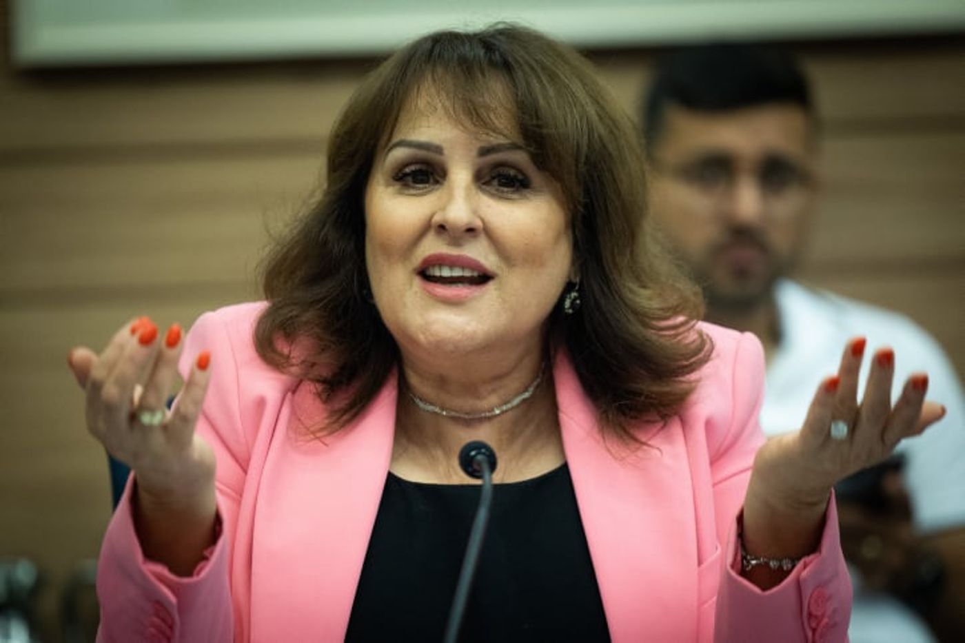 קטי שטרית מפתיעה: "הוא ראוי להיות ראש ממשלה"