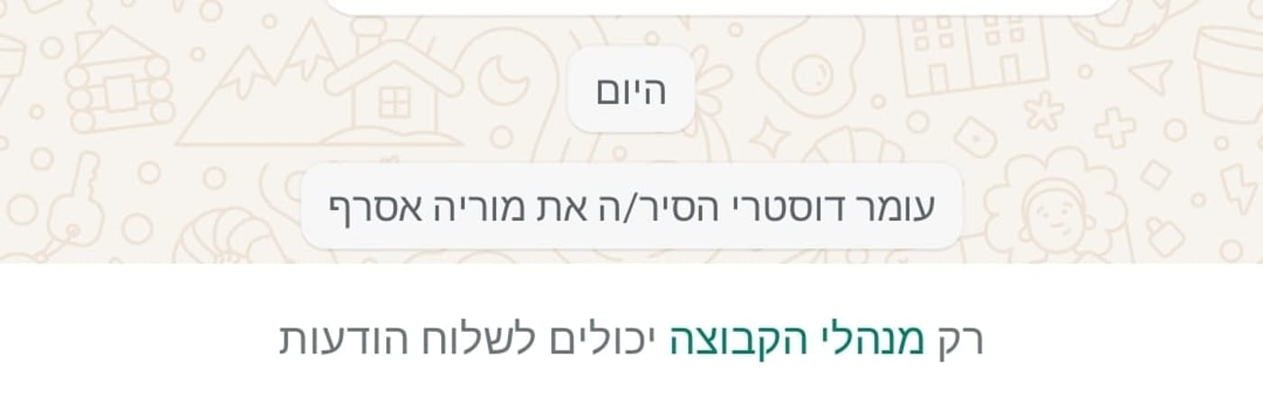 מוריה אסרף הוסרה מקבוצות הדוברות של נתניהו, זו הסיבה