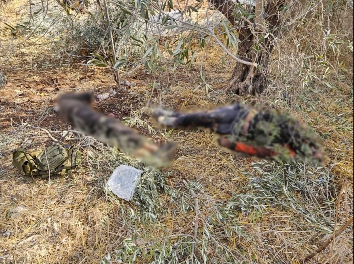 מחבלים שחוסלו בדרום לבנון (דובר צה"ל)