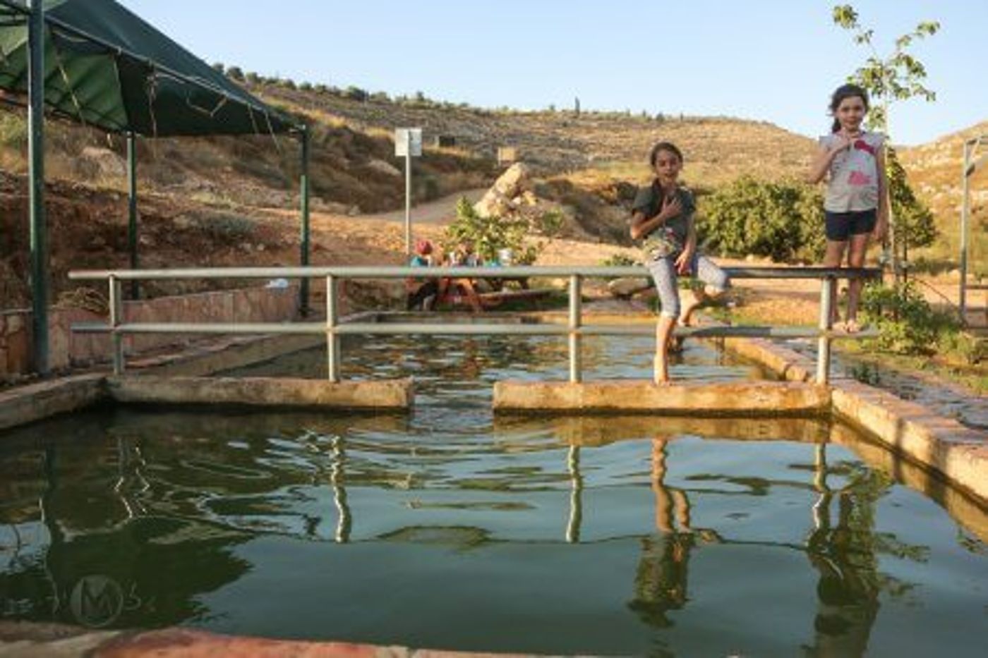 עין כפיר סמוך לאלון מורה – צילום תיירות שומרון